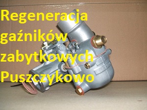 gazniki Puszczykowo